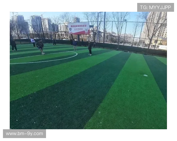 野球场足球是否需要收费及相关收费标准解析